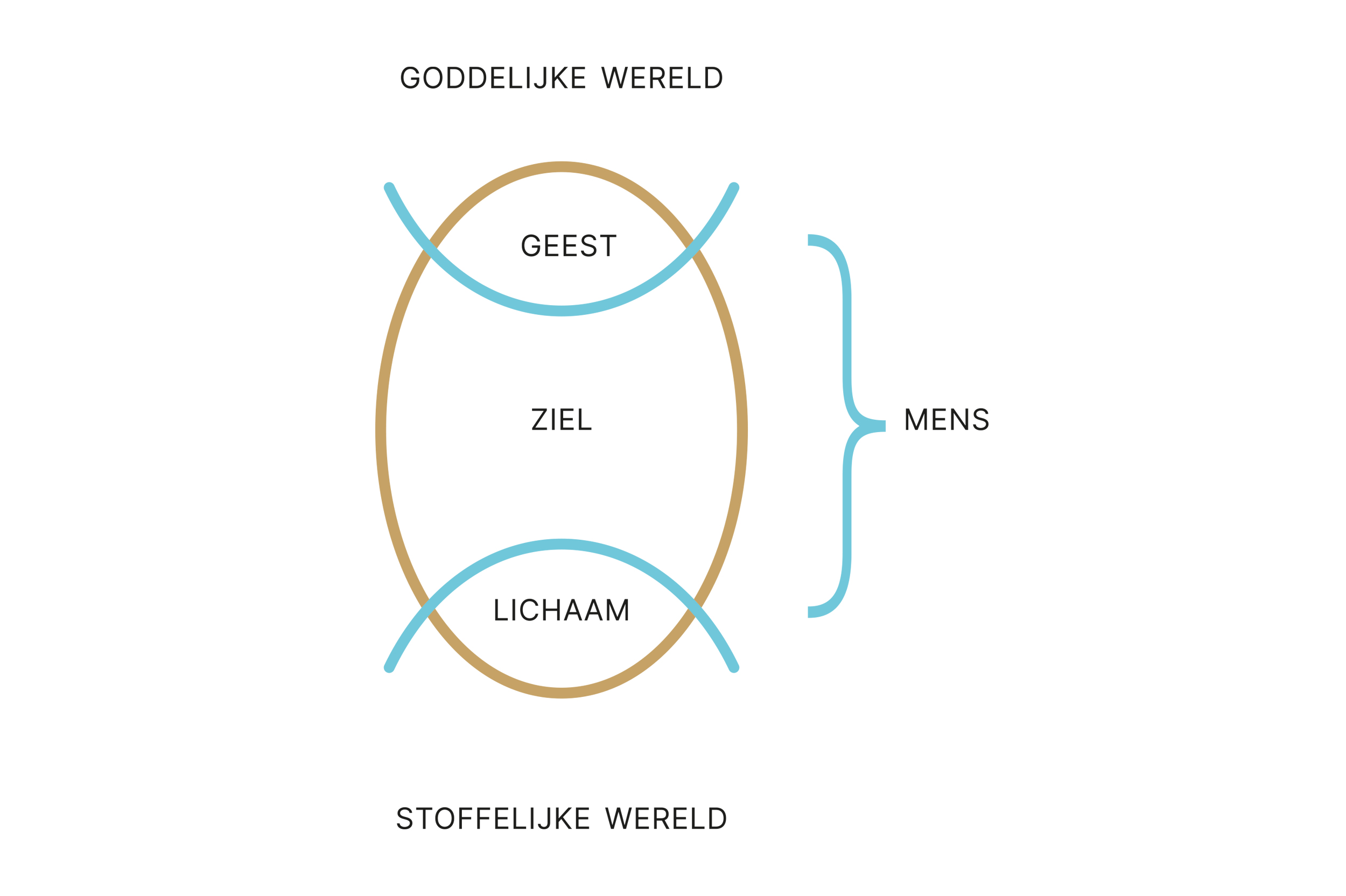 2023-3 schema drieledig mensbeeld Beeld