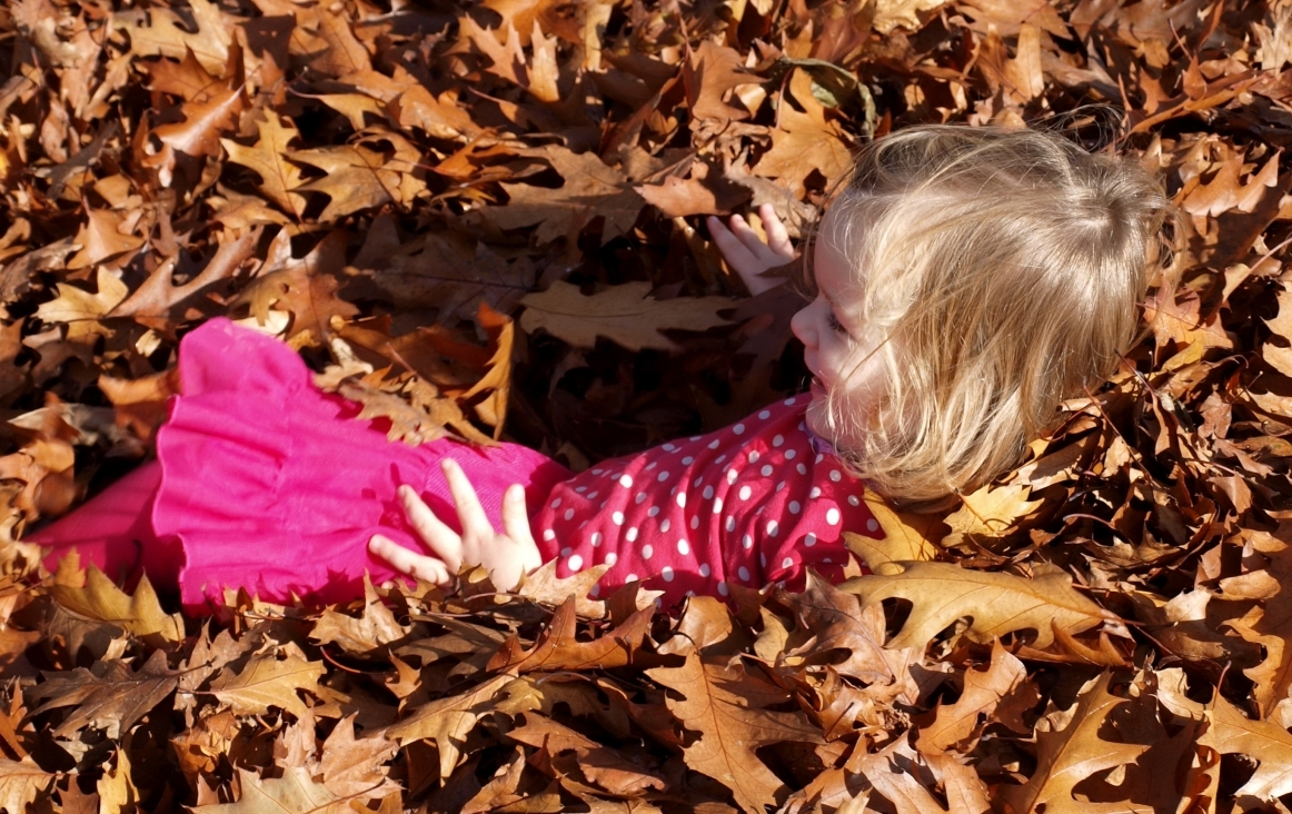 Lopen in het bos en spelen met herfstbladeren. Foto Tineke Vlaming