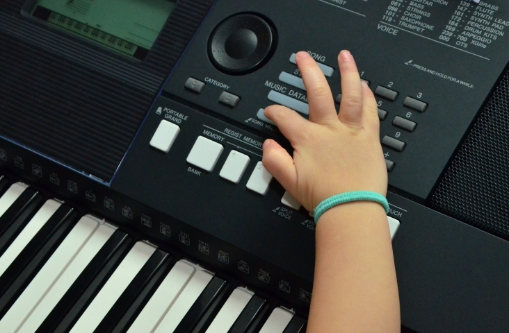 Muziek maken kan ook in Speciaal Onderwijs. Foto congerdesign Pixabay