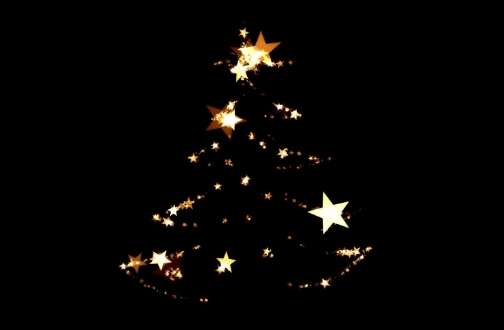 Kerstboom. Foto © Geralt. Bron Pixabay